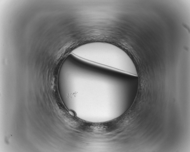 X0000100220693200805300748