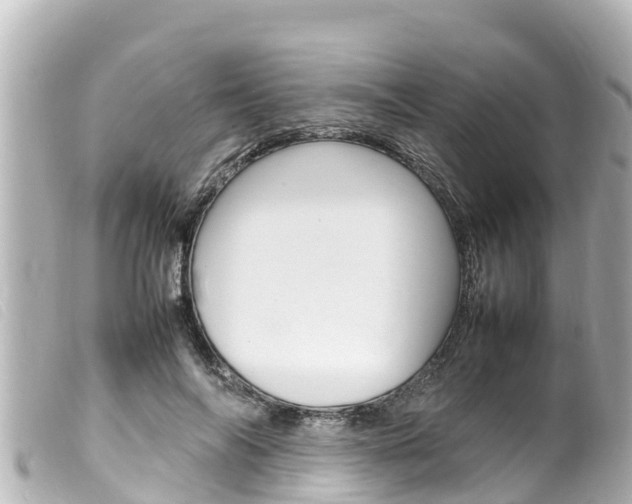 X0000100220694200805300748