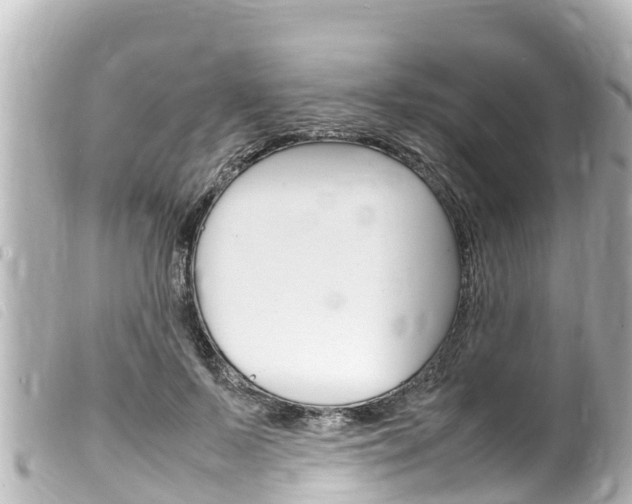 X0000100220695200805300748