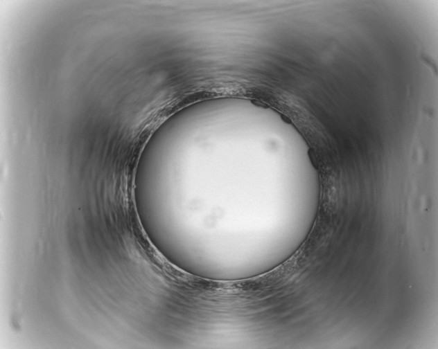 X0000100220696200805300748