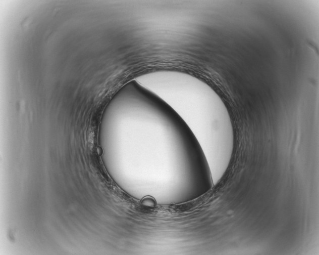 X0000100220697200805300748