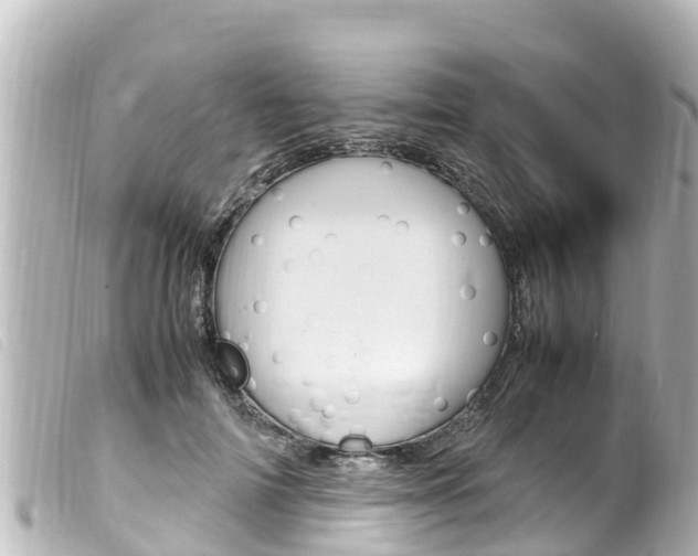 X0000100220698200805300748