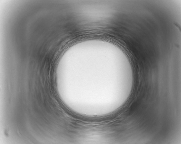 X0000100220701200805300747