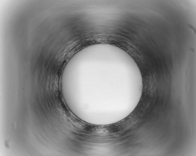 X0000100220702200805300747