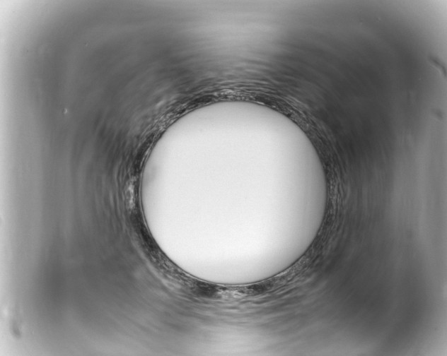 X0000100220703200805300747