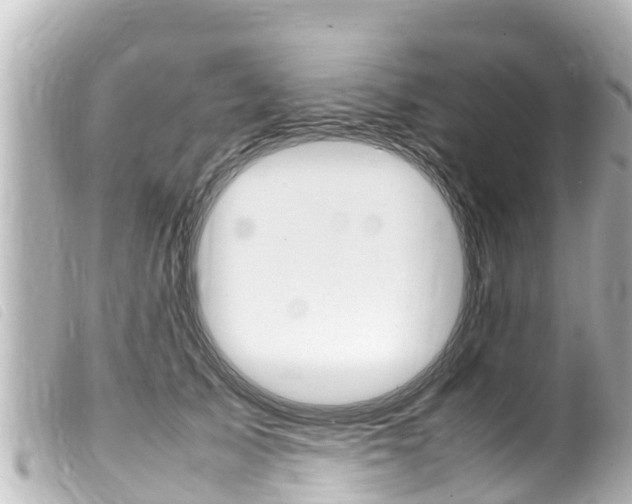 X0000100220705200805300747