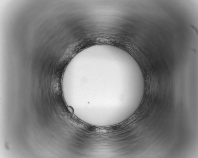 X0000100220706200805300747