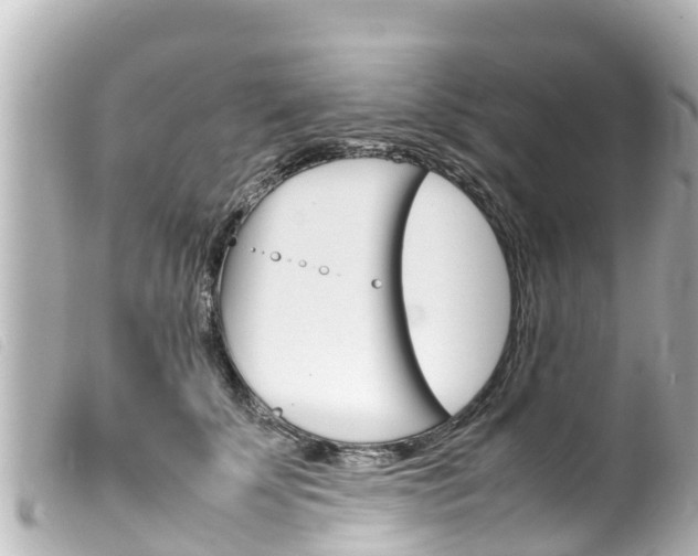 X0000100220707200805300747