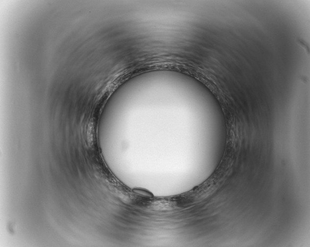 X0000100220708200805300747