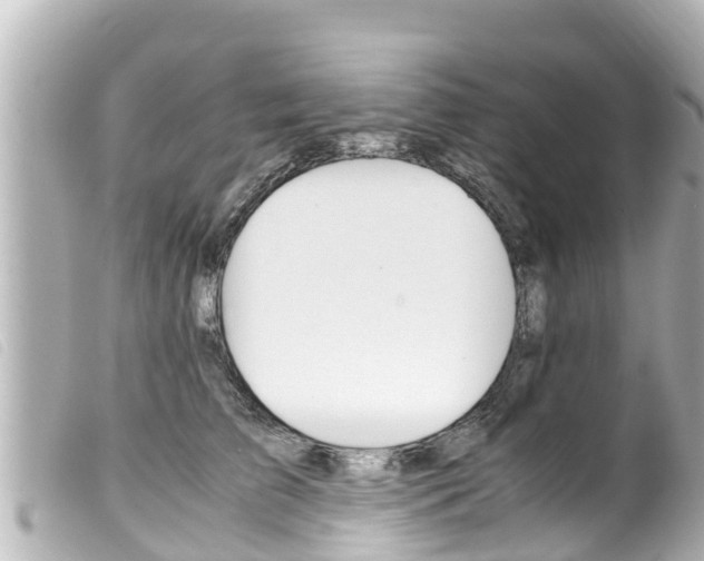 X0000100220709200805300747