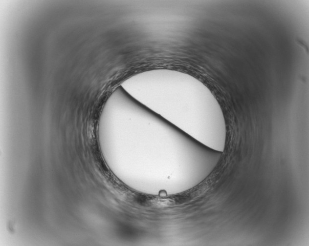 X0000100220711200805300747