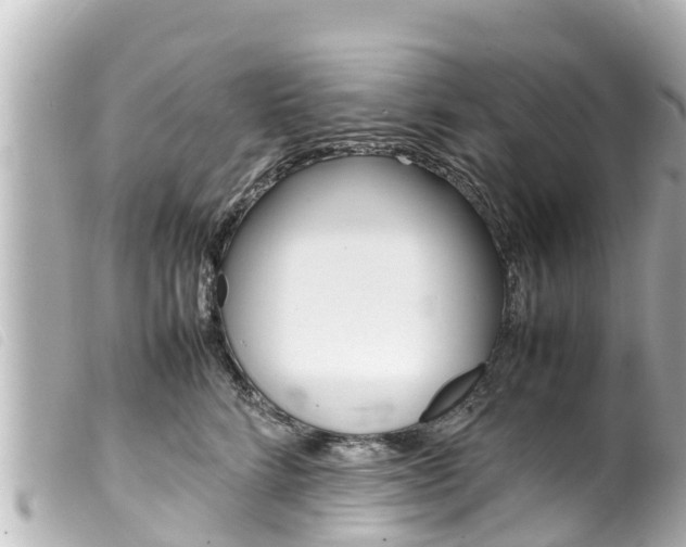 X0000100220712200805300747