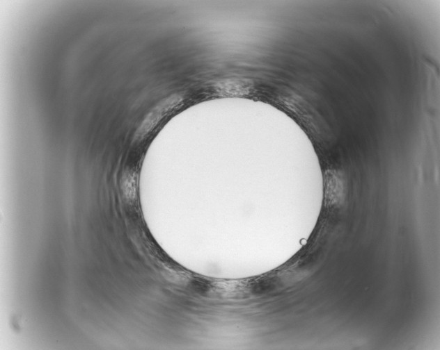 X0000100220713200805300747