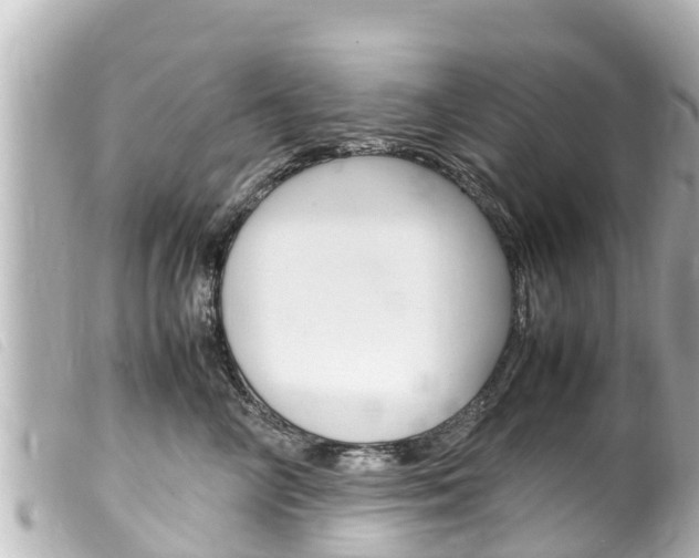 X0000100220714200805300747
