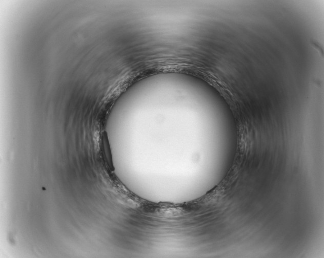 X0000100220716200805300747