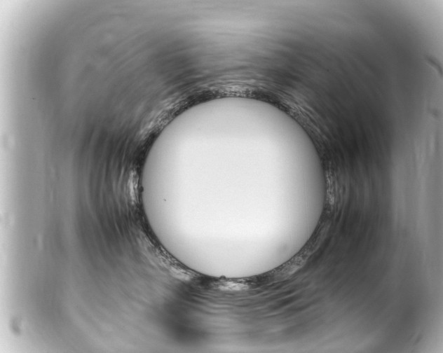 X0000100220718200805300747