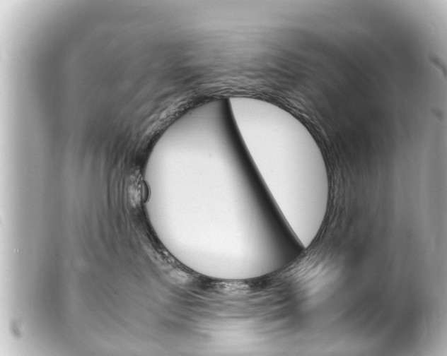 X0000100220719200805300747