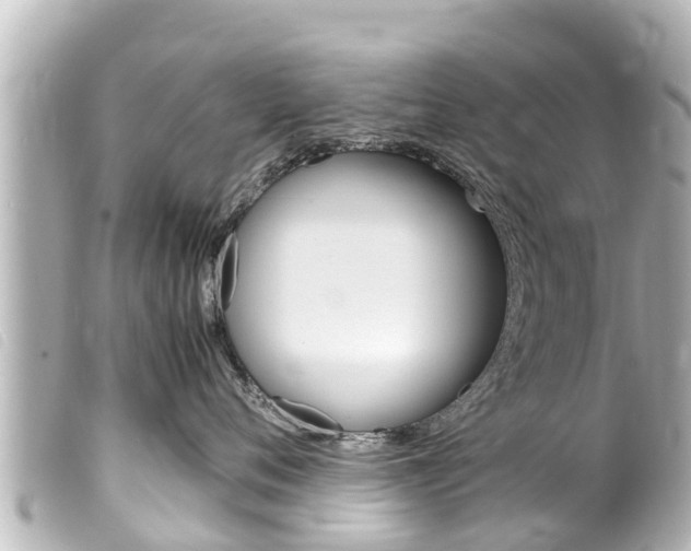 X0000100220720200805300747