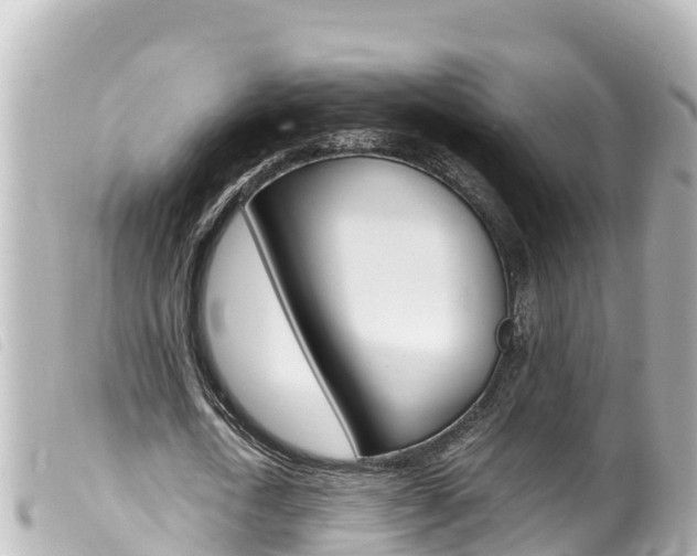 X0000100220722200805300747