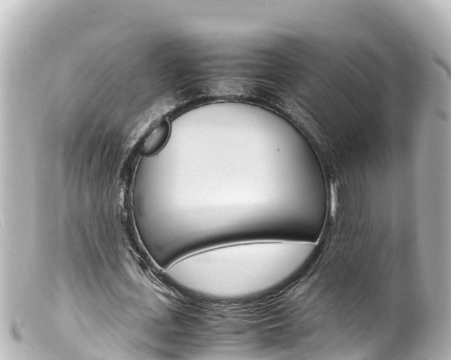 X0000100220723200805300747