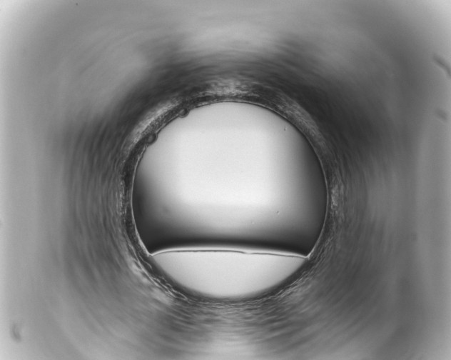 X0000100220724200805300747