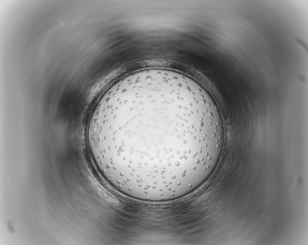 X0000100220725200805300747