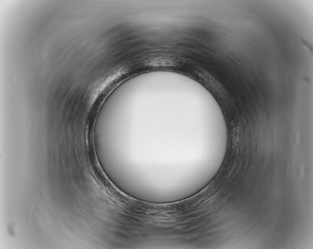 X0000100220727200805300747