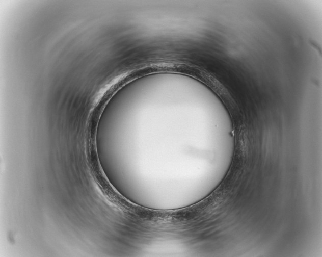 X0000100220728200805300747