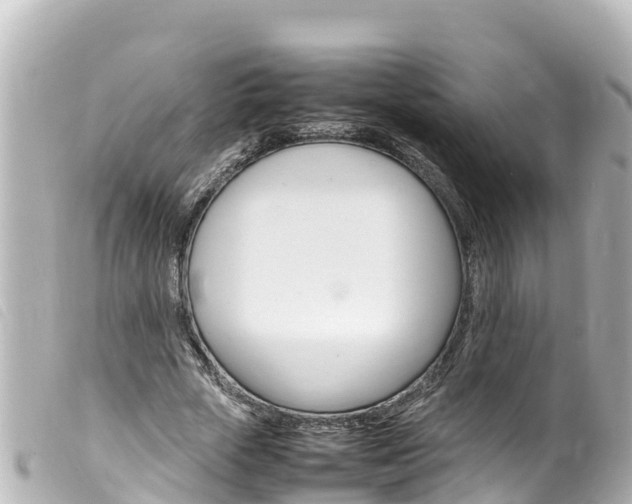X0000100220729200805300747