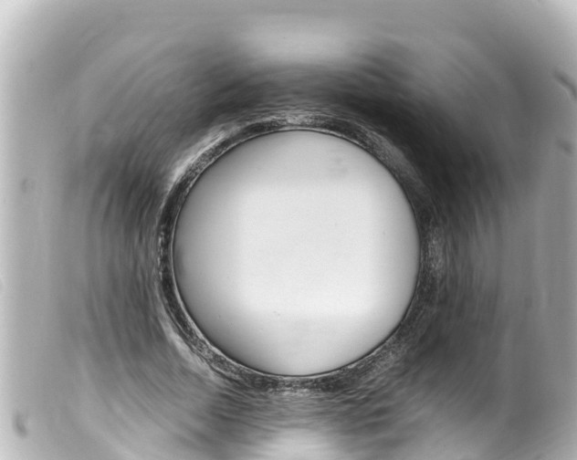 X0000100220730200805300747