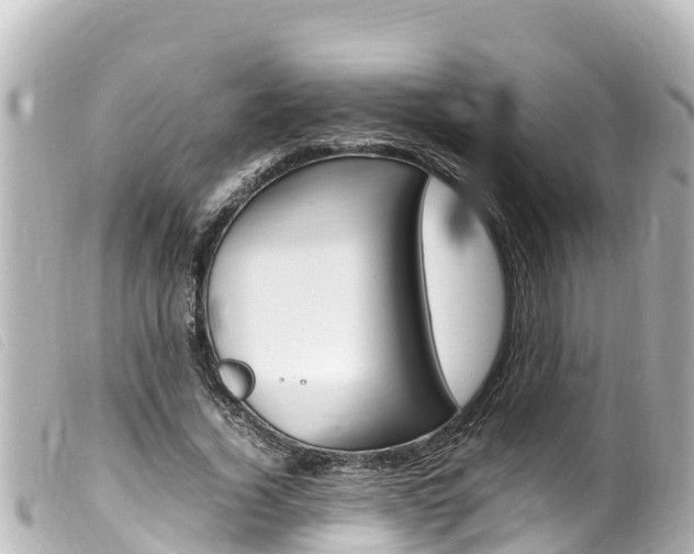 X0000100220732200805300747