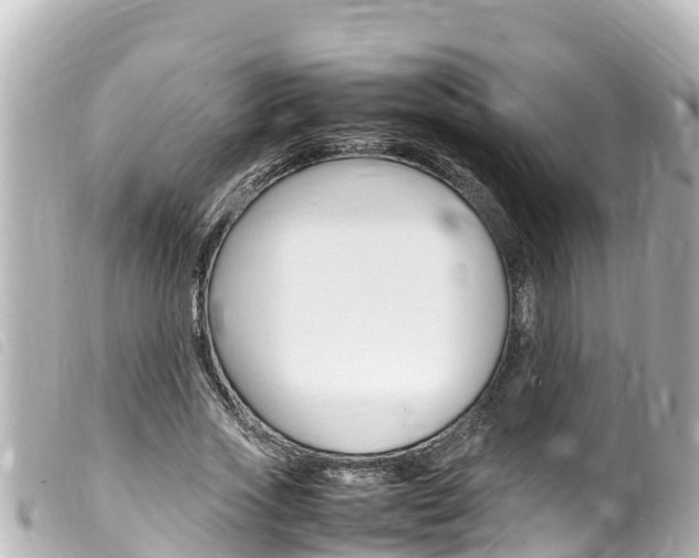 X0000100220733200805300747