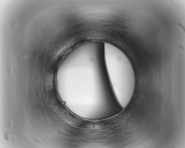 X0000100220735200805300747