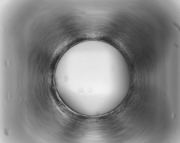 X0000100220736200805300747