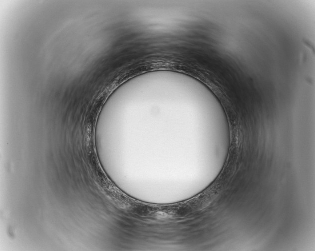 X0000100220737200805300747