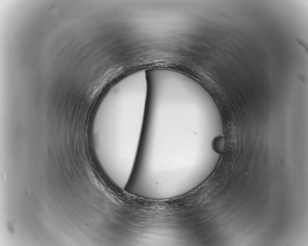 X0000100220738200805300747