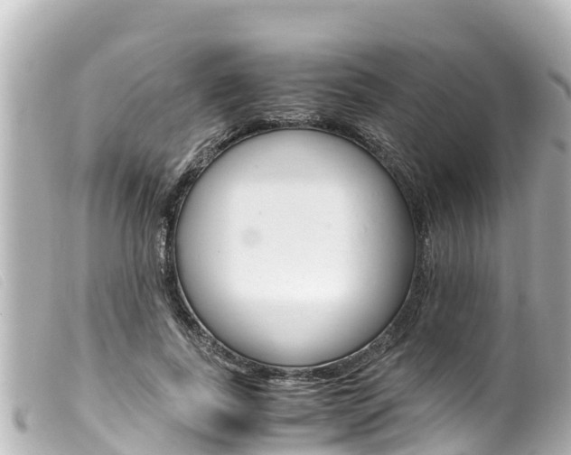 X0000100220739200805300747