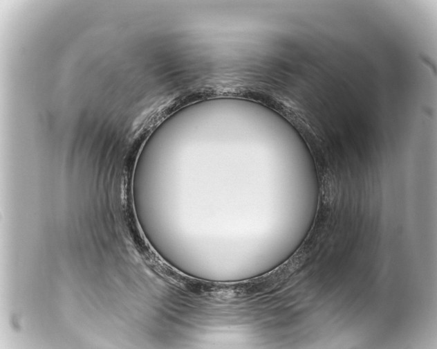 X0000100220740200805300747