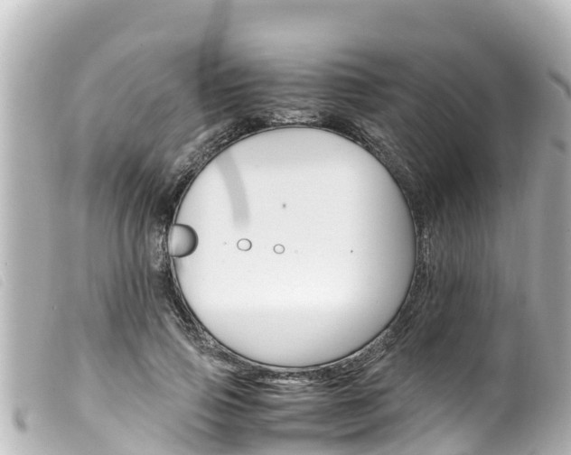 X0000100220741200805300747