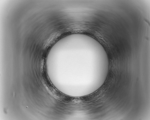 X0000100220742200805300747