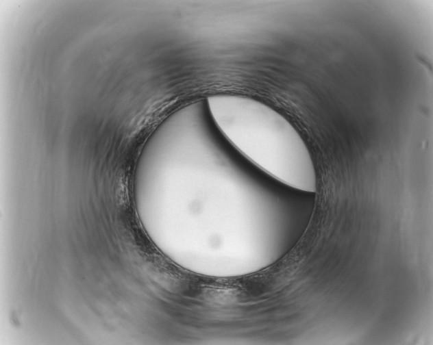 X0000100220743200805300747