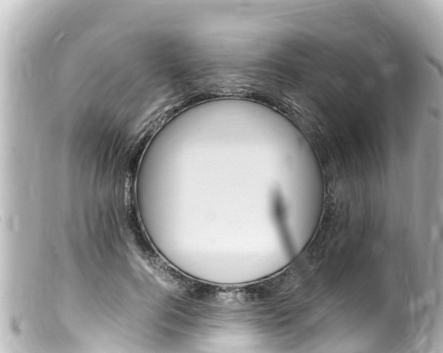 X0000100220744200805300747