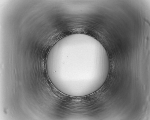 X0000100220745200805300747