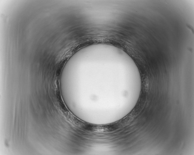 X0000100220746200805300747