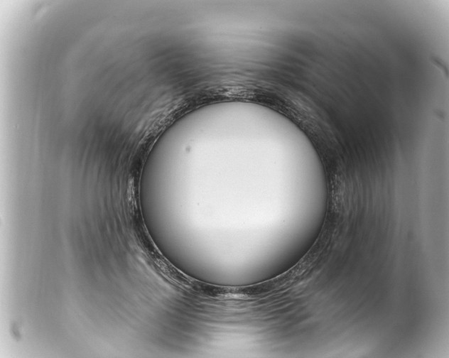 X0000100220748200805300747