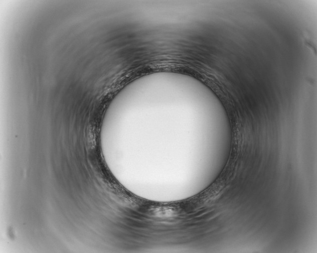 X0000100220751200805300747