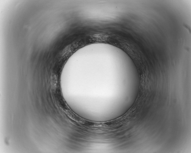 X0000100220752200805300747