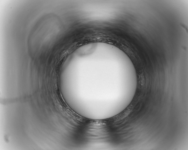 X0000100220754200805300747