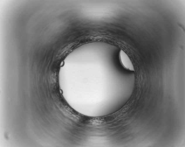 X0000100220756200805300747