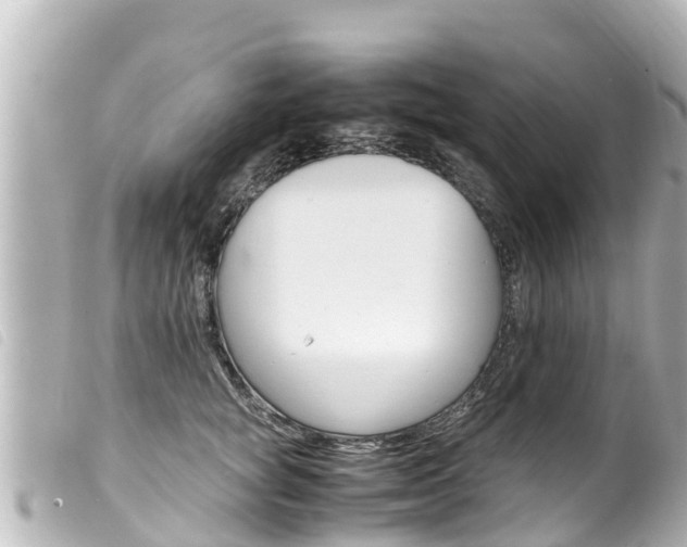X0000100220757200805300747